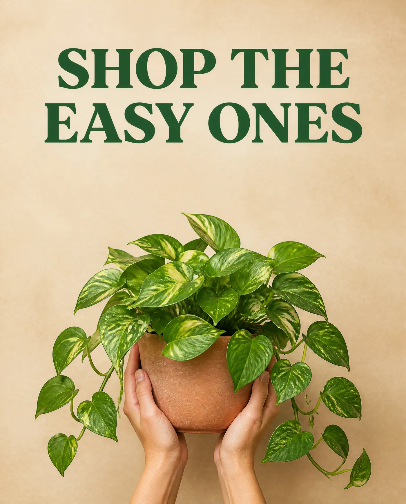 Carousel closing slide reading SHOP THE EASY ONES above two hands holding a potted pothos, 4:5 slide created with getimg.ai