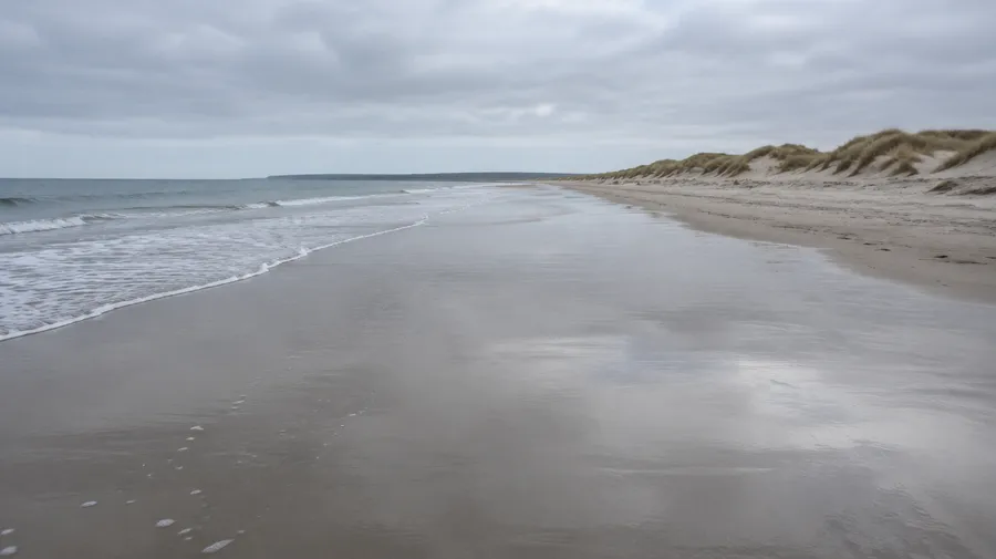 Photograph of an empty beach with wet sand, dune grass and a calm grey sea