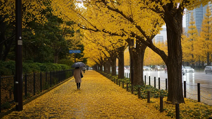 AI autumn image of a Tokyo ginkgo avenue in late November with mature trees in pure golden-yellow leaves.