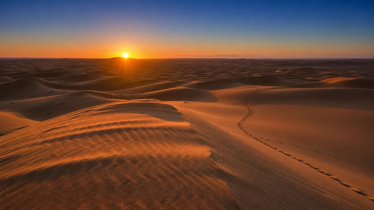 Bright dawn sun rising above a Sahara dune sea with ripple shadows on amber sand, AI sun stock photo.