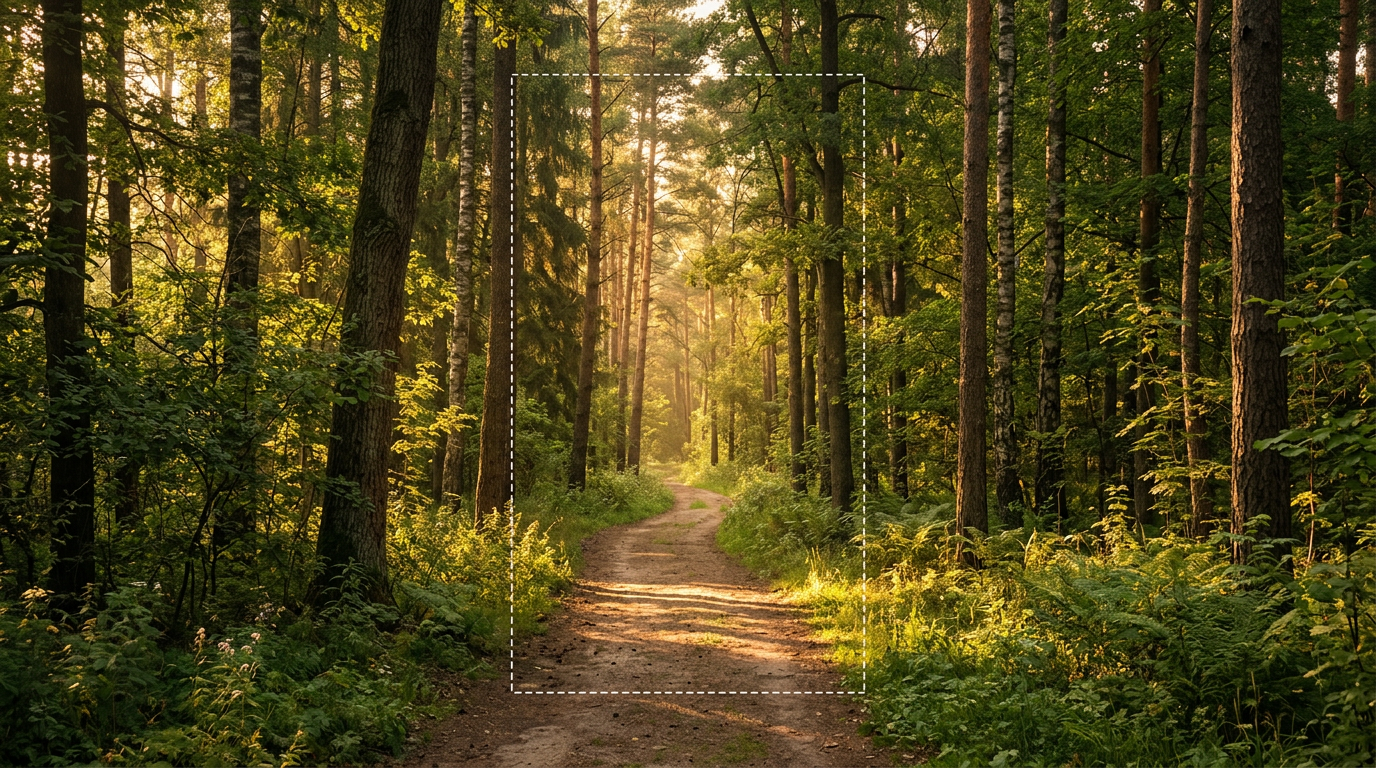 A forest path at golden hour, extended into a wide 16:9 banner from a tighter vertical crop indicated by a dashed outline