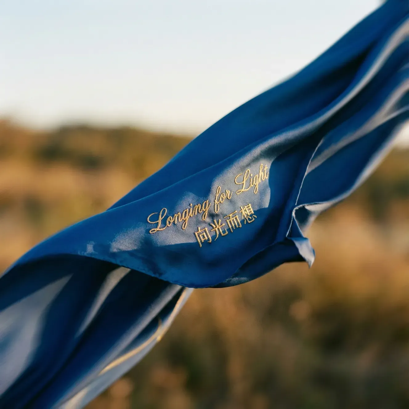 nano banana pro vs z-image