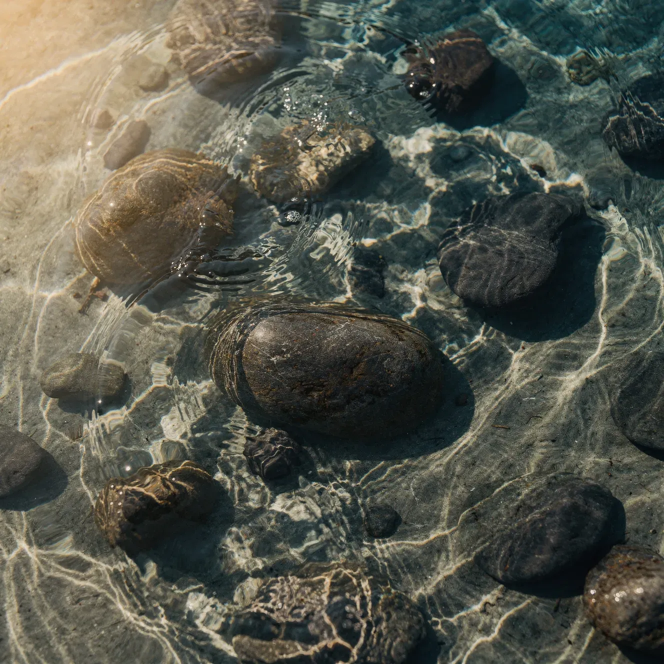 generating with references flux 2