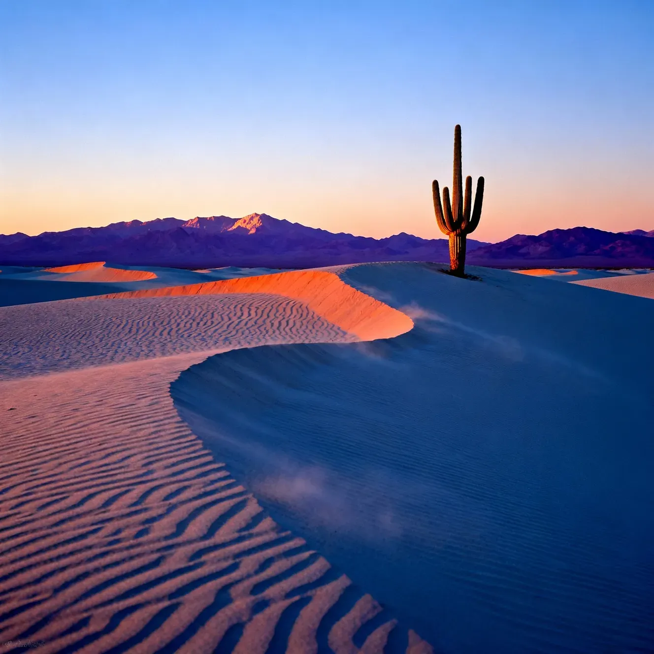 new getimg.ai image generation