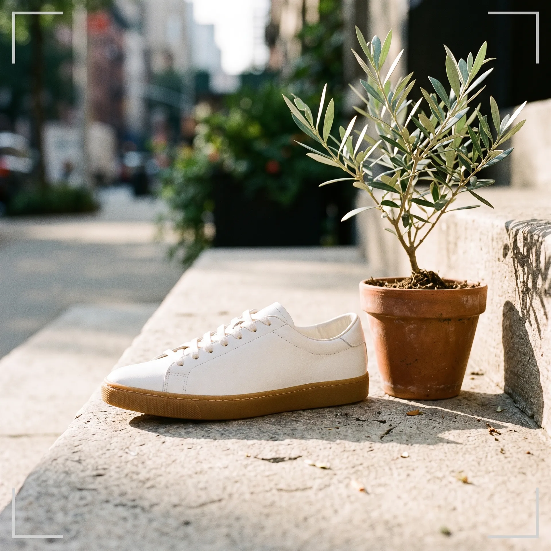 The same white leather sneaker on a sunlit concrete step beside a potted olive plant, blurred city street behind. Lifestyle scene generated from the packshot in getimg.ai.