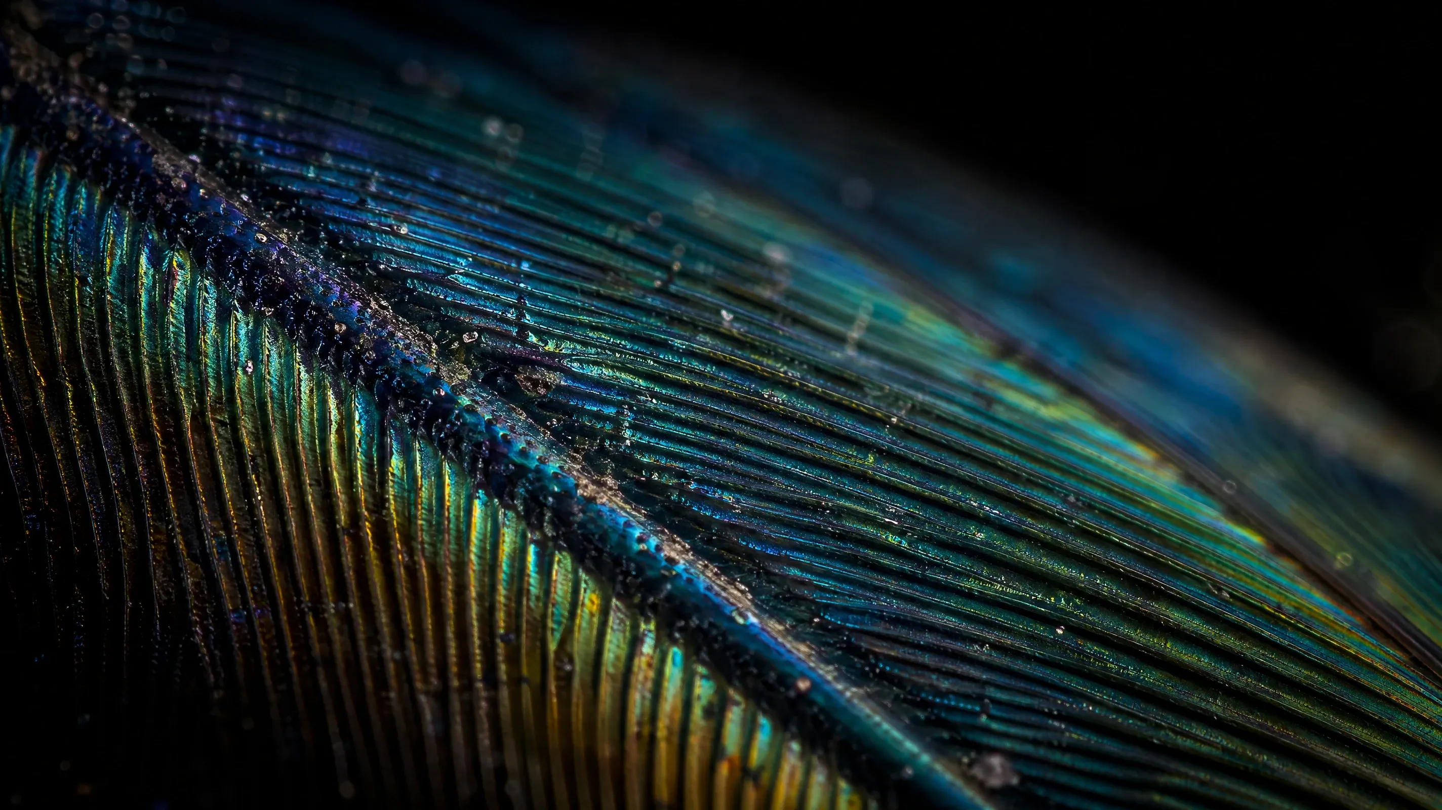AI-generated macro photography stock of a turquoise jewel beetle wing scale with iridescent diffraction patterns